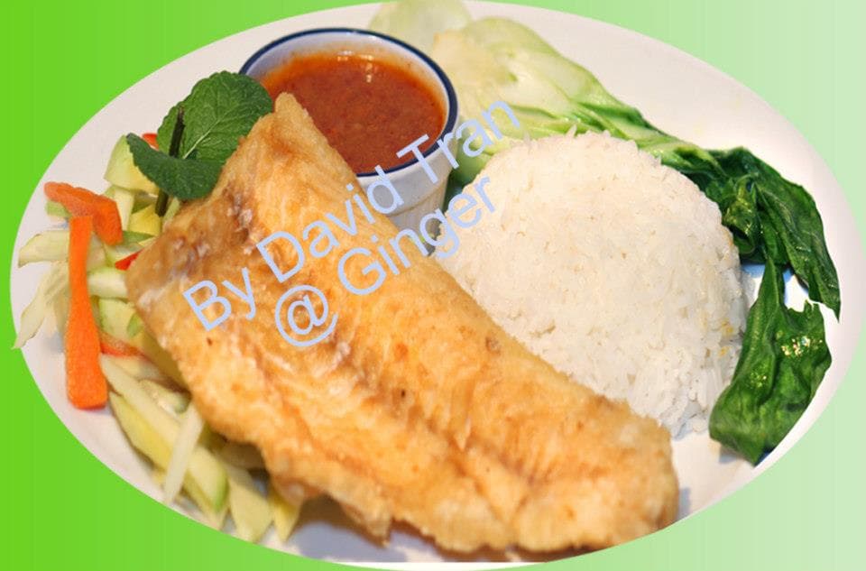 Fried Fish & Mango Salad Plate