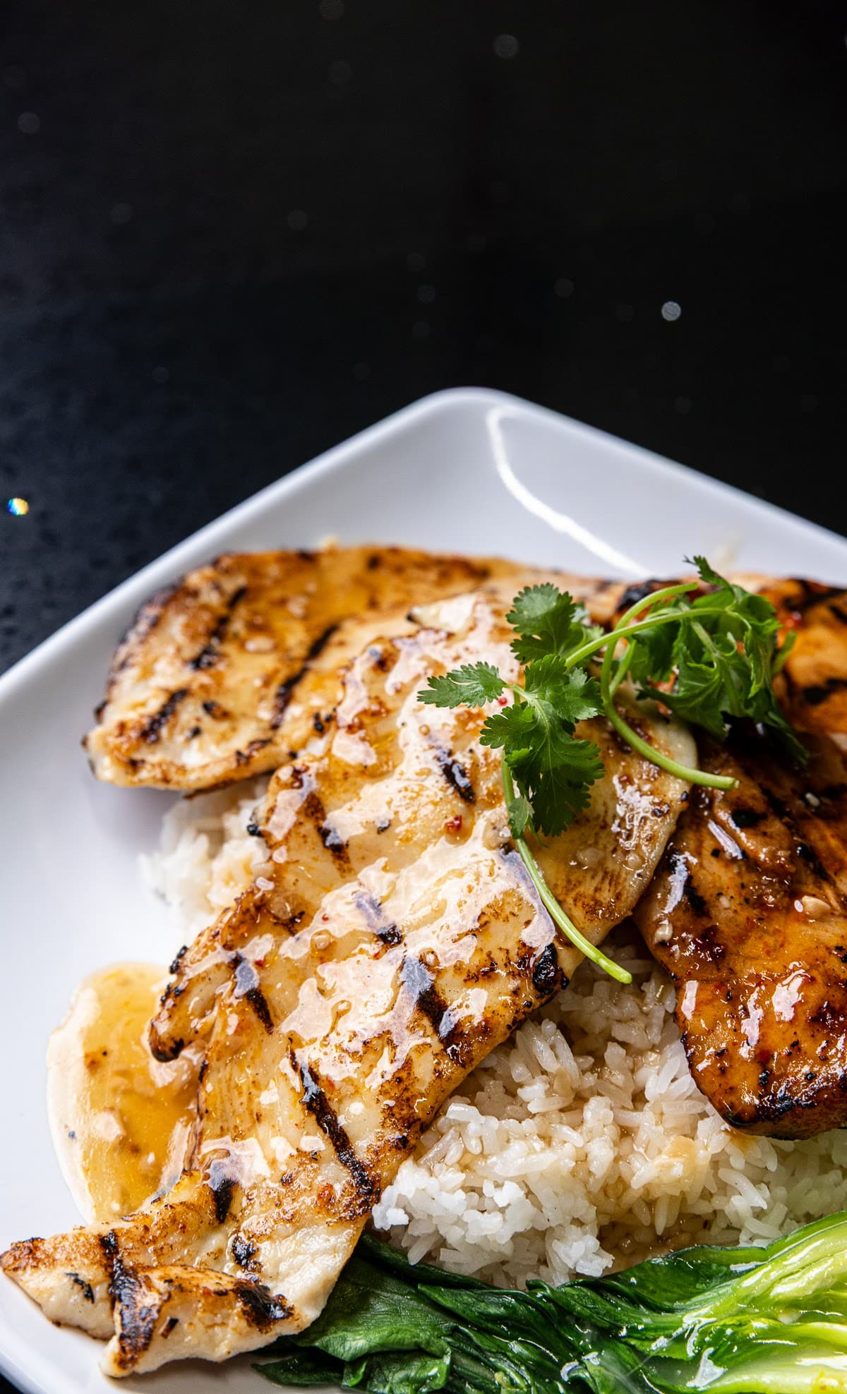 Grilled Chicken Rice Plate